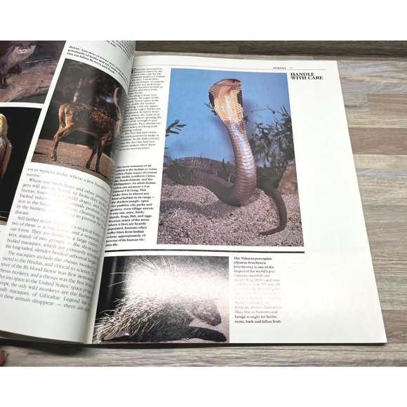 Vintage The San Diego Zoo Souvenir Book 1988 Animal Photographs - Picture 7 of 9